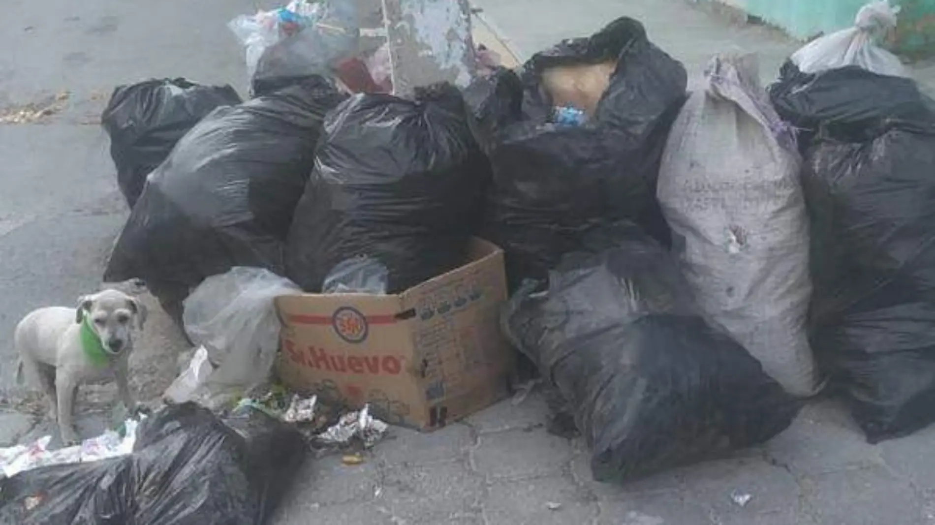 basura tehuacan2